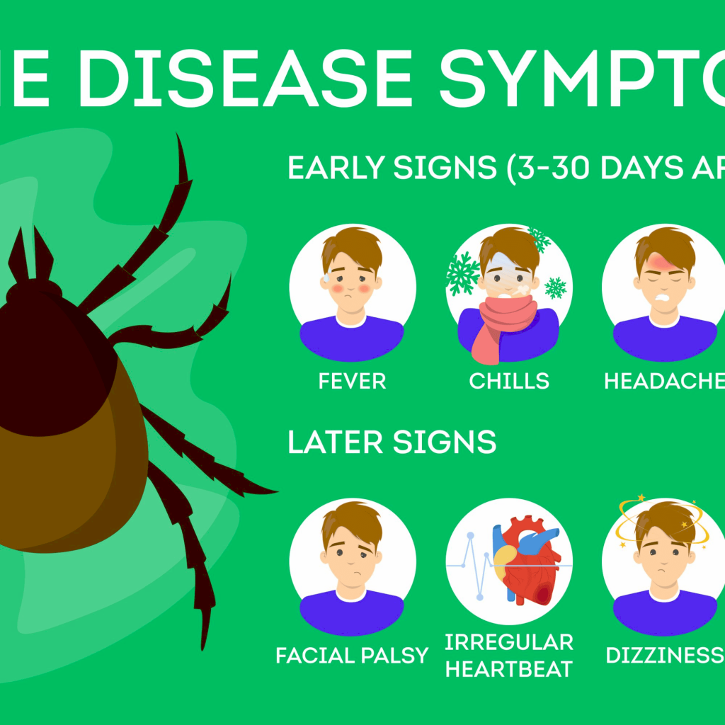 Зображення хвороби Лайма