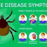 Зображення хвороби Лайма